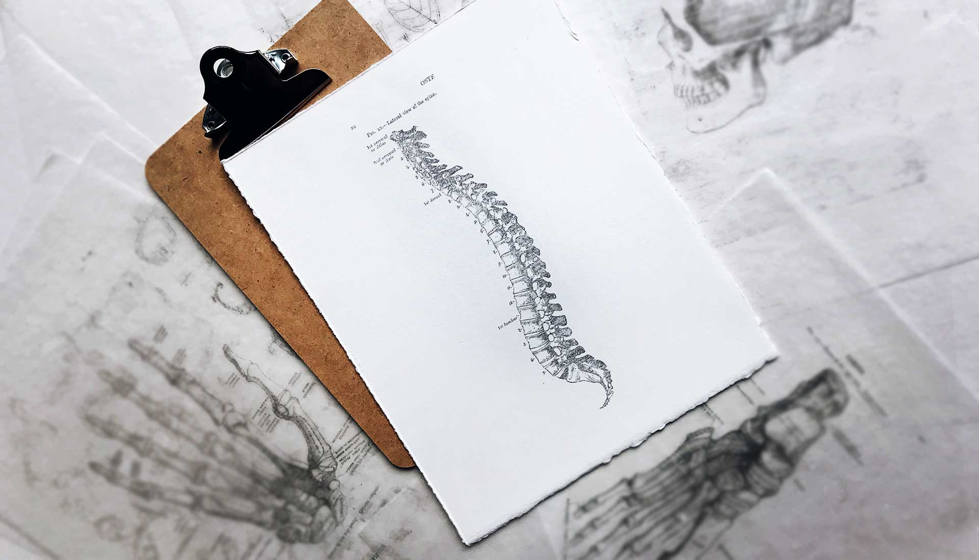 mobile Physiotherapie - Susanne Wagner-Bauda